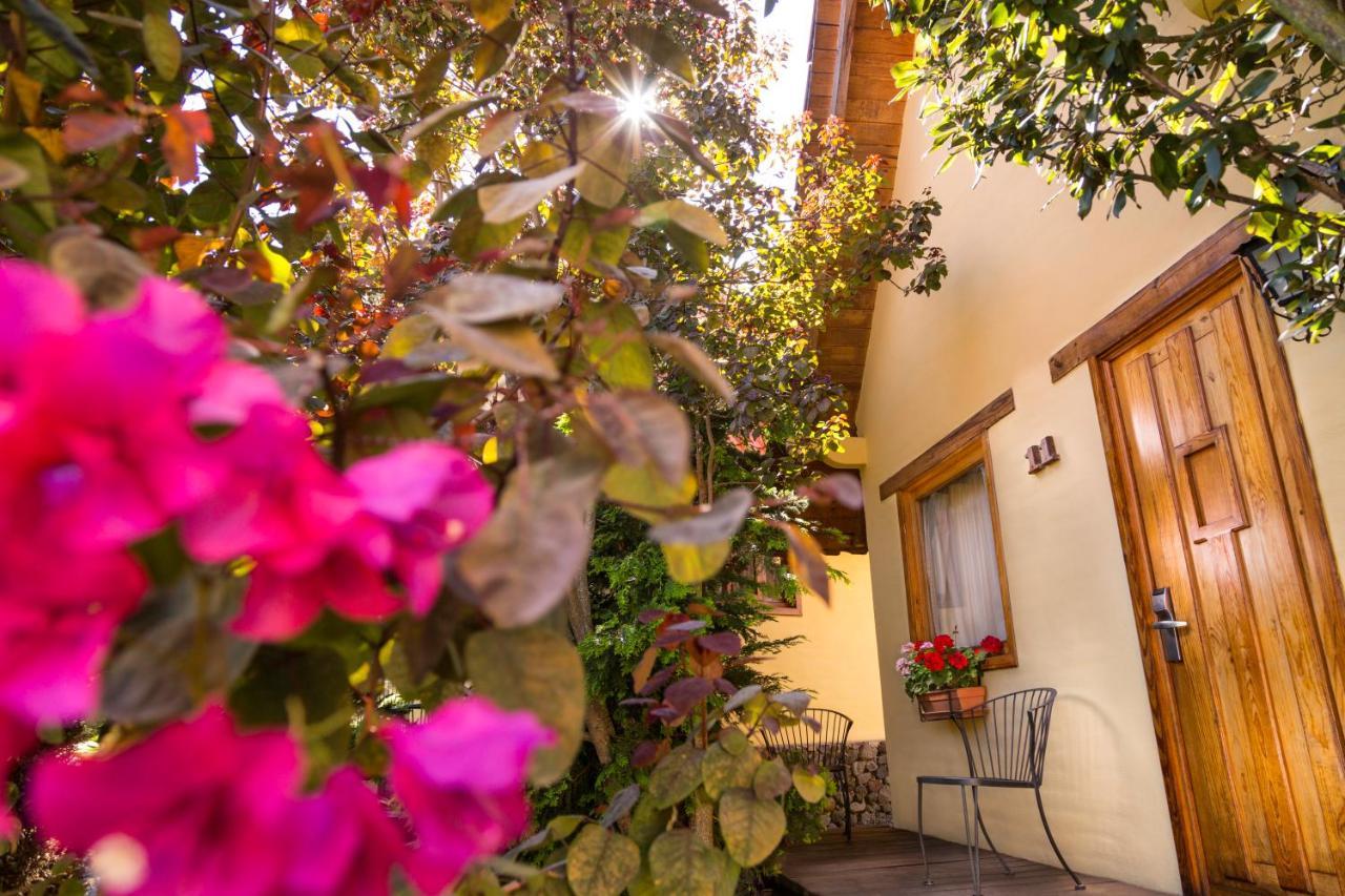 Cabanas Sierra 마자미틀라 외부 사진